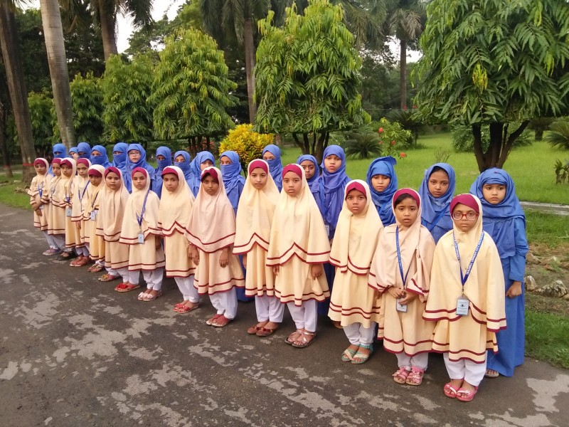 Mufti Mahmudul Hasan
